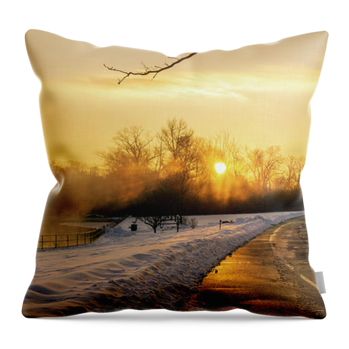 Snow Throw Pillow featuring the photograph Trexler Park Pond Foggy Winter Sunrise by Jason Fink
