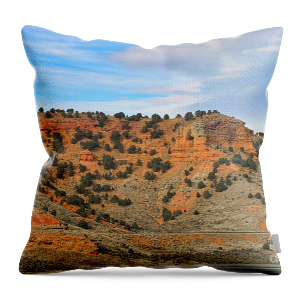 Landscape Throw Pillow featuring the photograph Trip Across USA Arizona Landscape by Chuck Kuhn