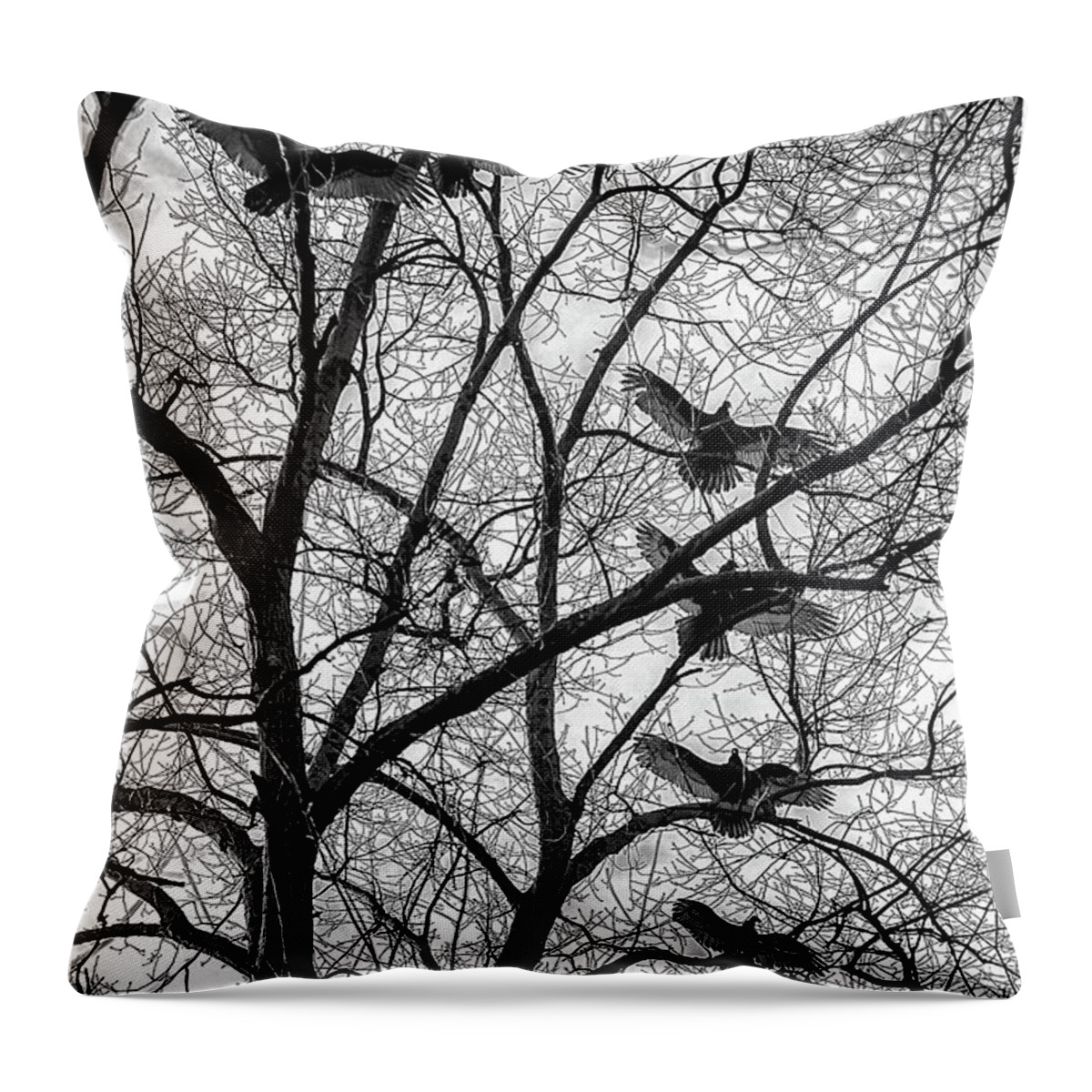 Birds Throw Pillow featuring the photograph Turkey Vultures Photography by Louis Dallara