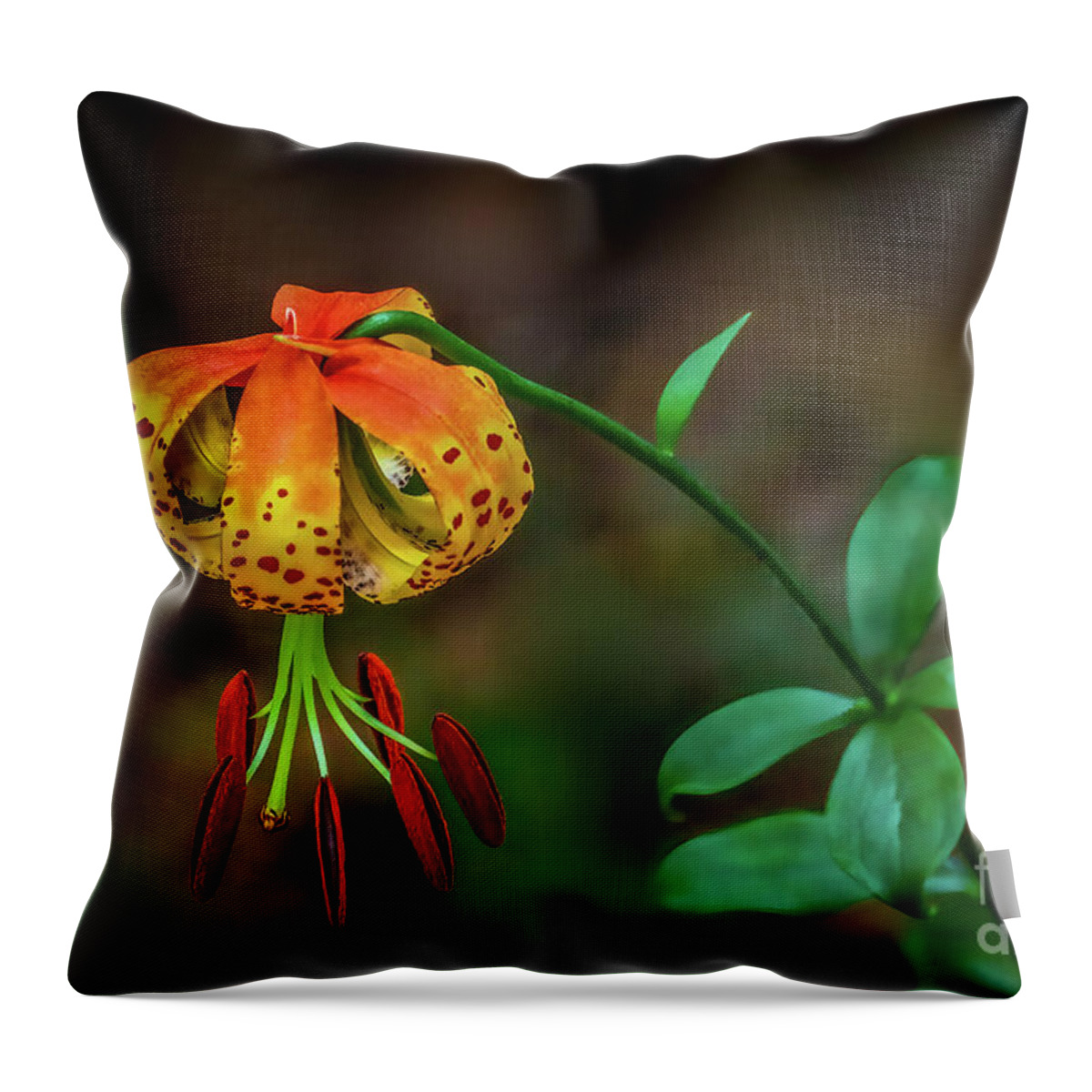 Lily Throw Pillow featuring the photograph Turks Cap Lily by Shelia Hunt