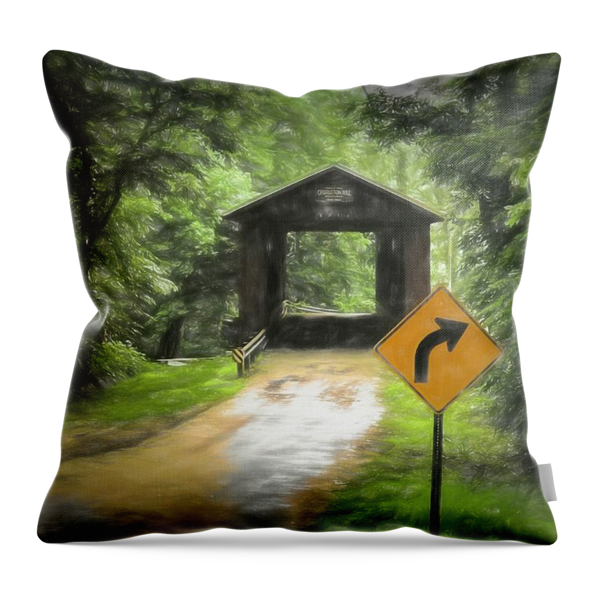  Throw Pillow featuring the photograph Turn Right by Jack Wilson