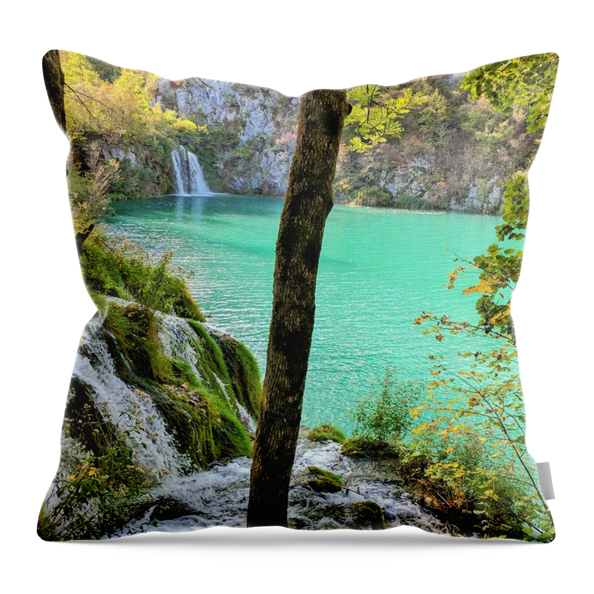 Plitvice Lakes Throw Pillow featuring the photograph Turquoise Beauty In The Woods by Yvonne Jasinski