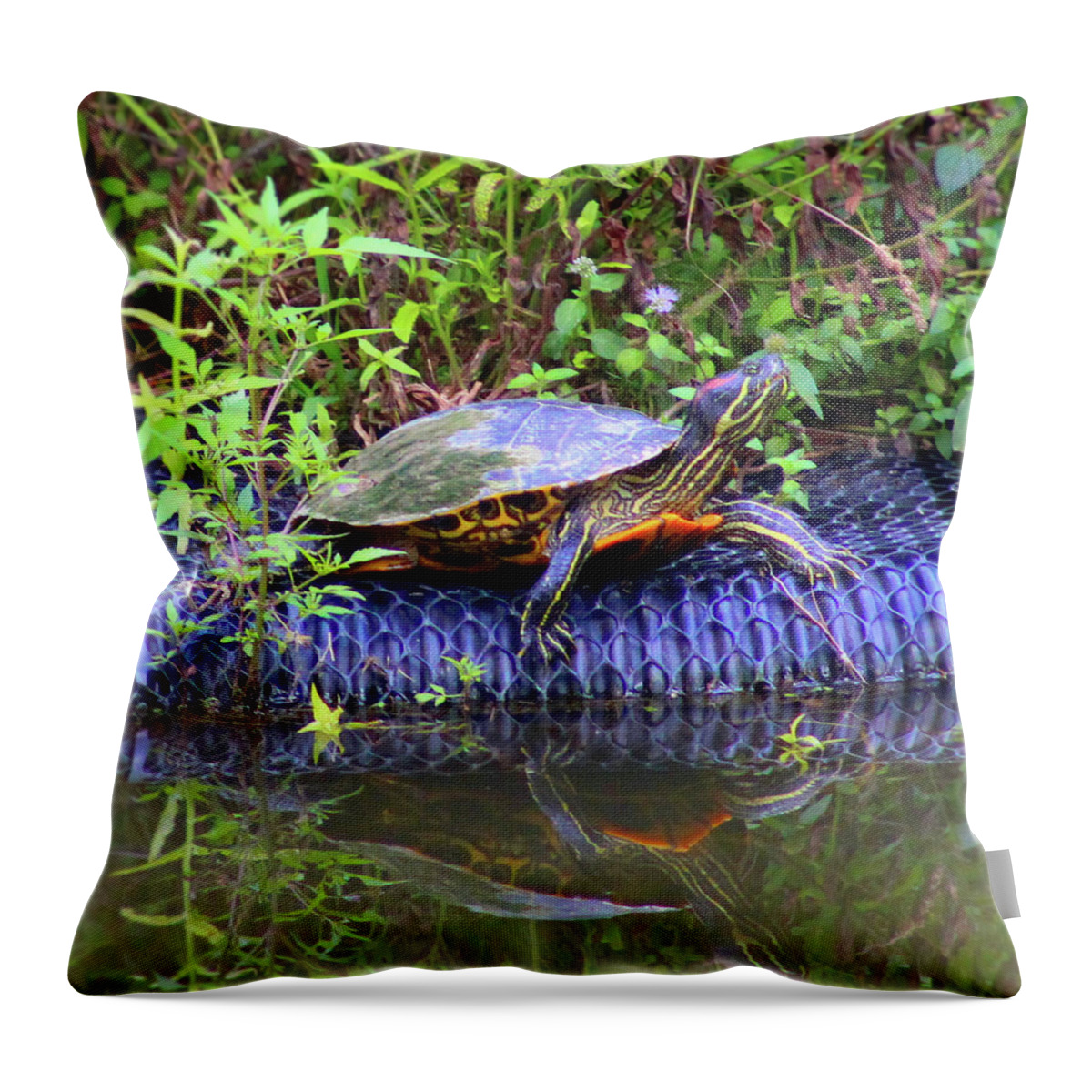 Turtle Throw Pillow featuring the photograph Turtle Reflection by Christopher Reed