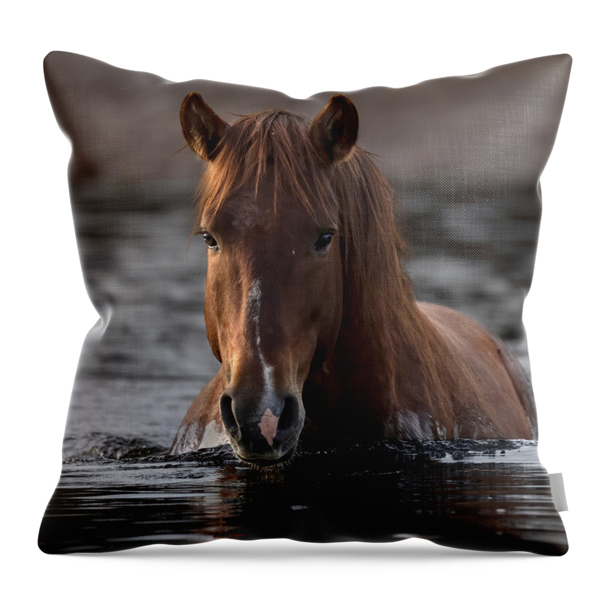 Stallion Throw Pillow featuring the photograph Twilight Crossing. by Paul Martin