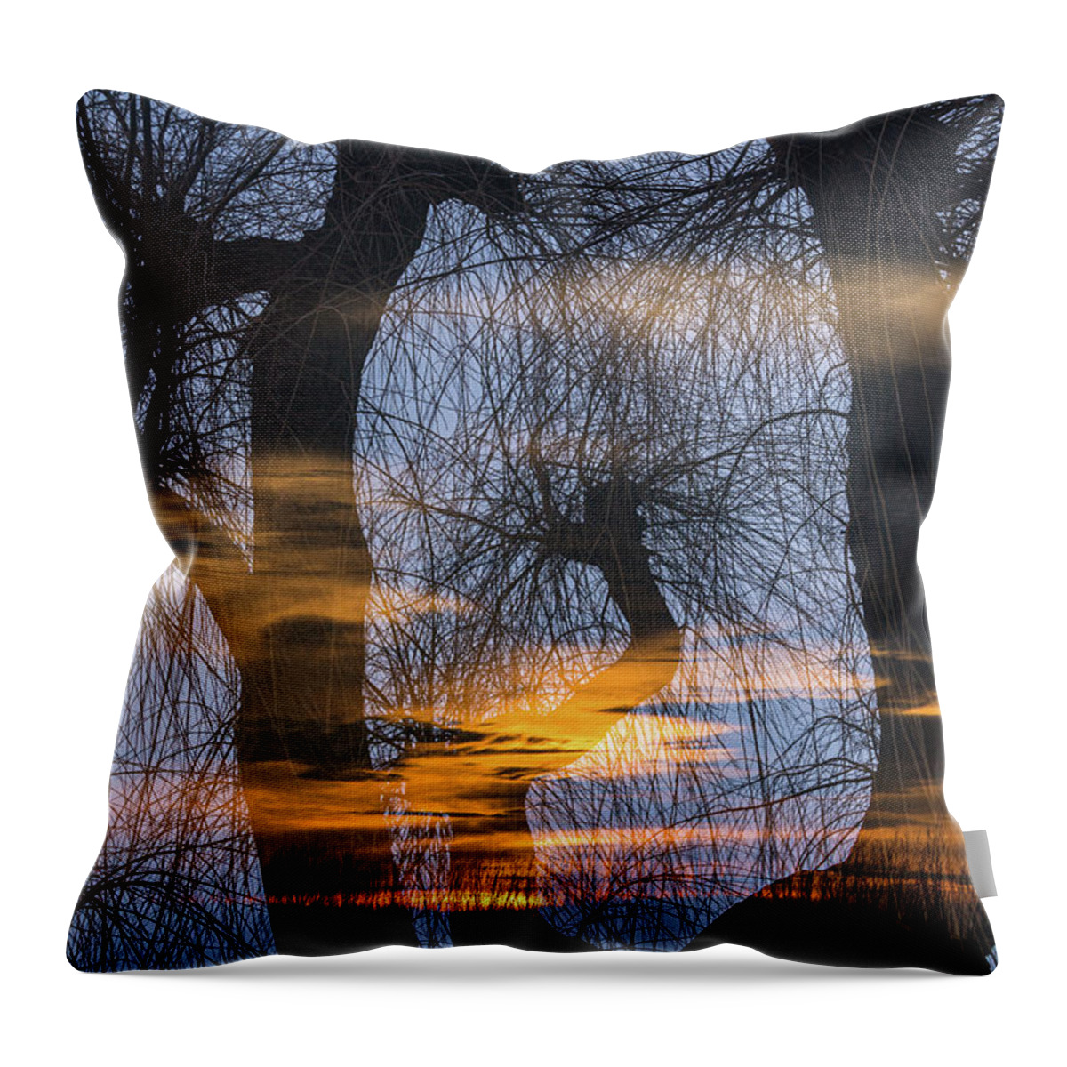 Netherlands Throw Pillow featuring the photograph Twilight zone in the magic forest by Casper Cammeraat
