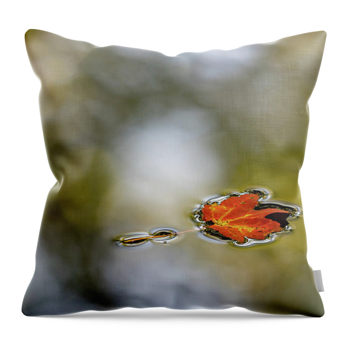 Autumn Throw Pillow featuring the photograph Twin Lakes Gold by Kevin Suttlehan