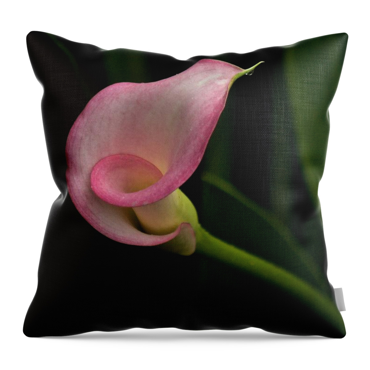 Calla Lily Throw Pillow featuring the photograph Twist and Shout by Richard Cummings