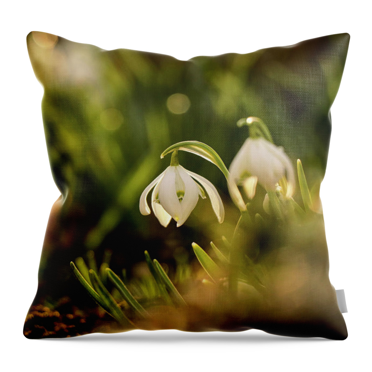 Galanthus Nivalis Throw Pillow featuring the photograph Galanthus nivalis at spring by Vaclav Sonnek