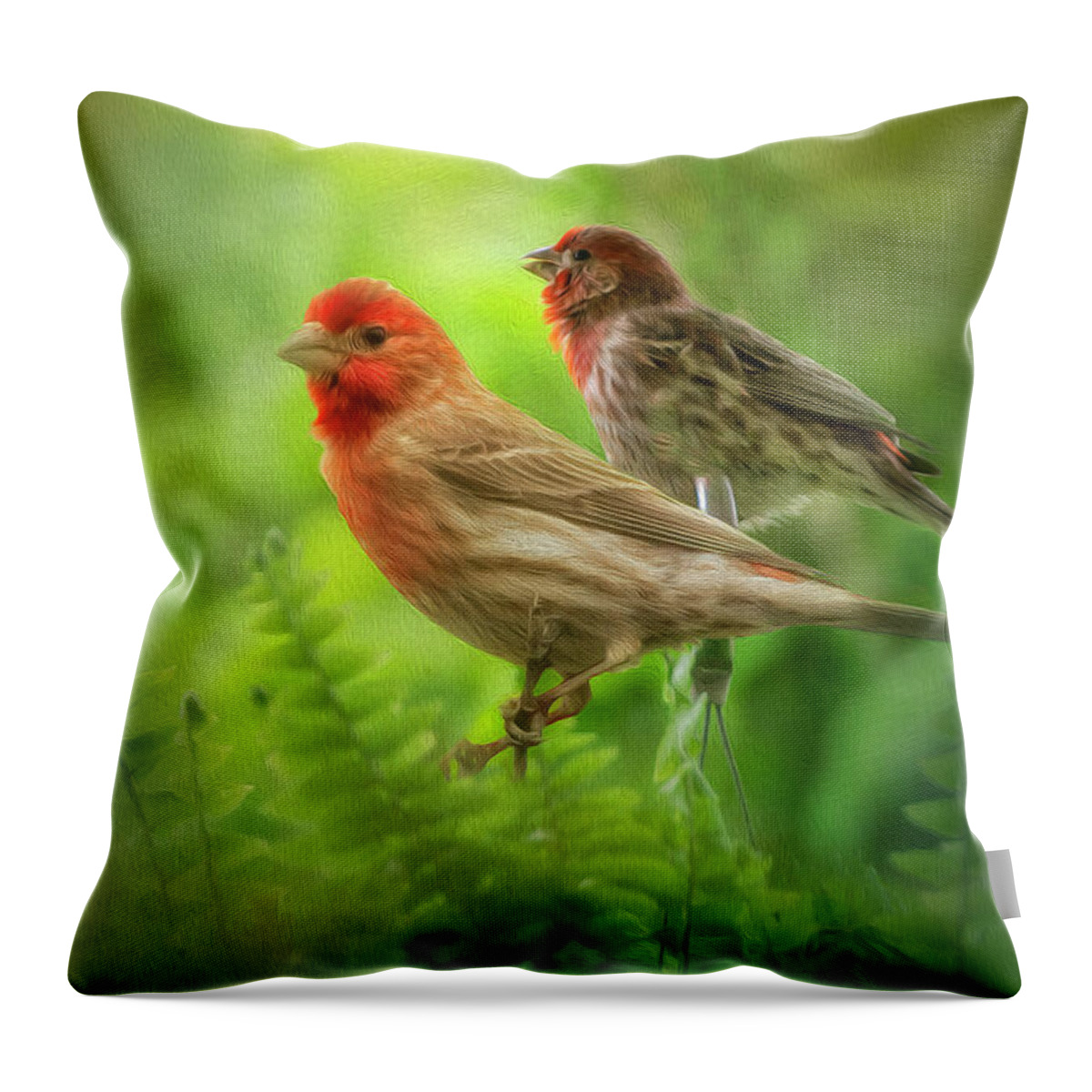 Bird Throw Pillow featuring the photograph Two Little Finches by Shelia Hunt