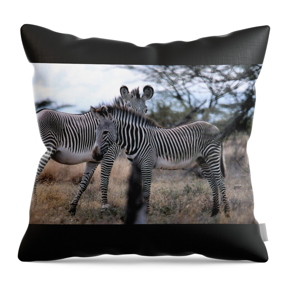 Zebra Throw Pillow featuring the photograph Two Zebras by Russ Considine