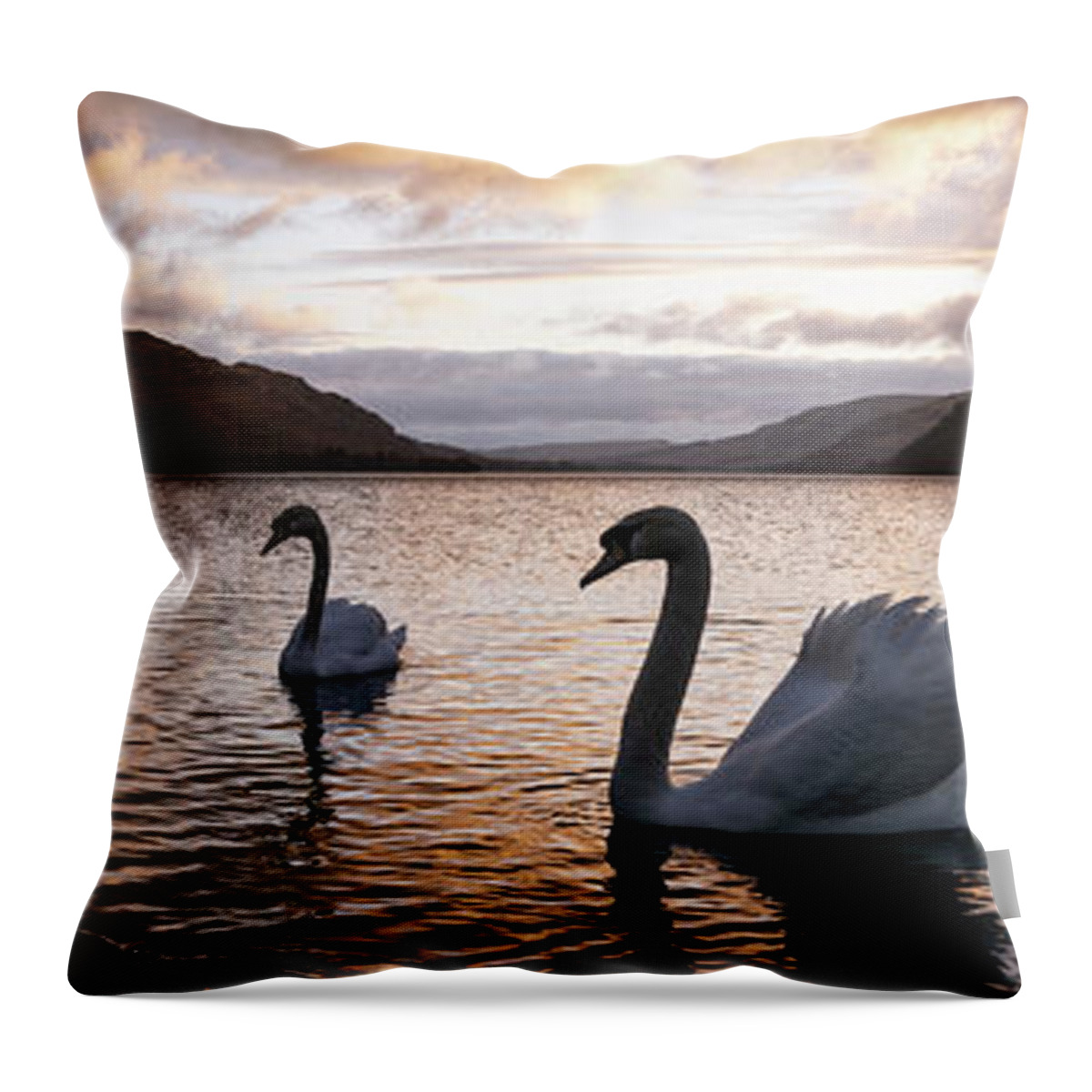 Panorama Throw Pillow featuring the photograph Ullswater Swans Sunrise Lake District by Sonny Ryse