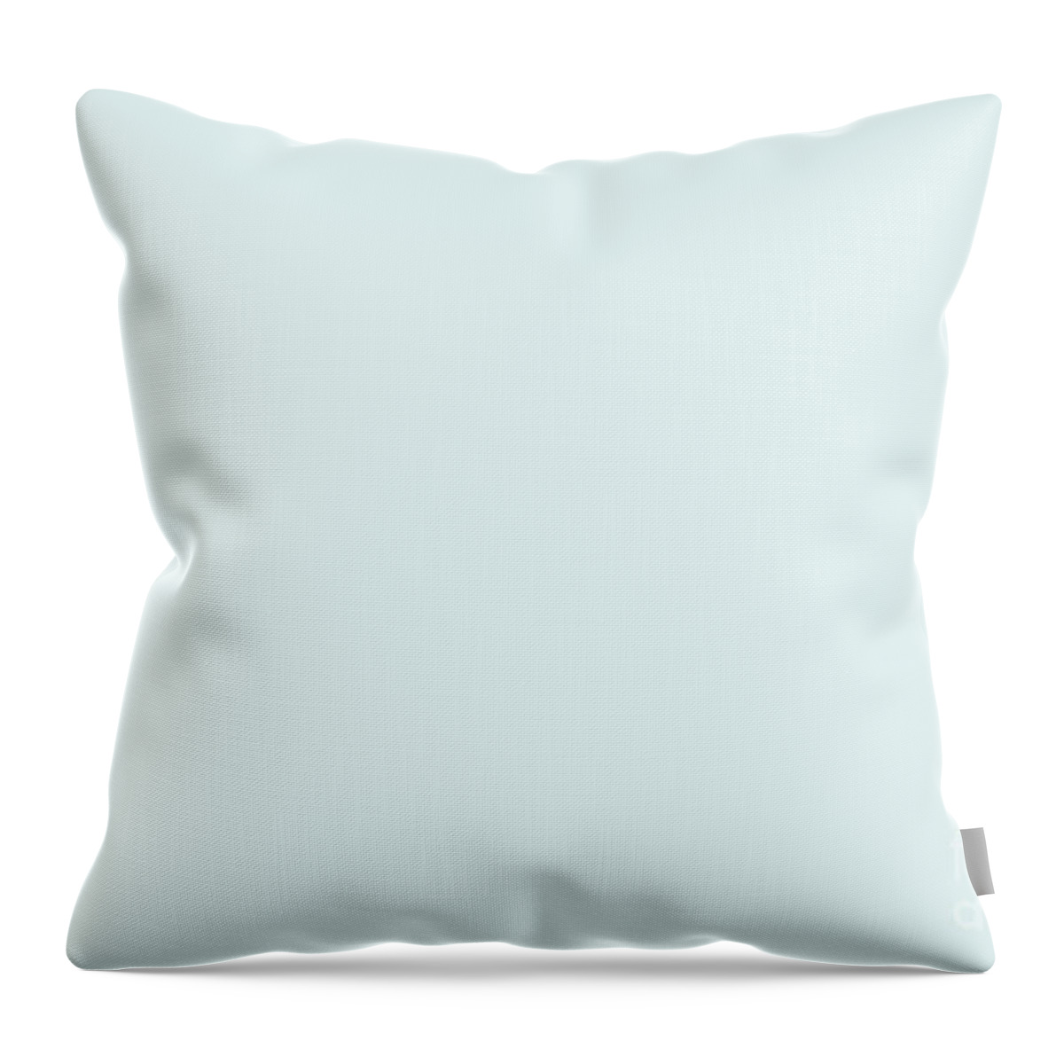 https://render.fineartamerica.com/images/rendered/default/throw-pillow/images/artworkimages/medium/3/ultra-pale-pastel-blue-solid-color-pairs-to-behr-helium-m480-1-accent-shade-to-2023-coty-simply-solids-home-decor.jpg?&targetx=-119&targety=0&imagewidth=718&imageheight=479&modelwidth=479&modelheight=479&backgroundcolor=E0F0F0&orientation=0&producttype=throwpillow-14-14