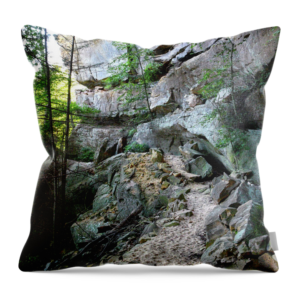 Pogue Creek Canyon Throw Pillow featuring the photograph Unnamed Rock Face 7 by Phil Perkins