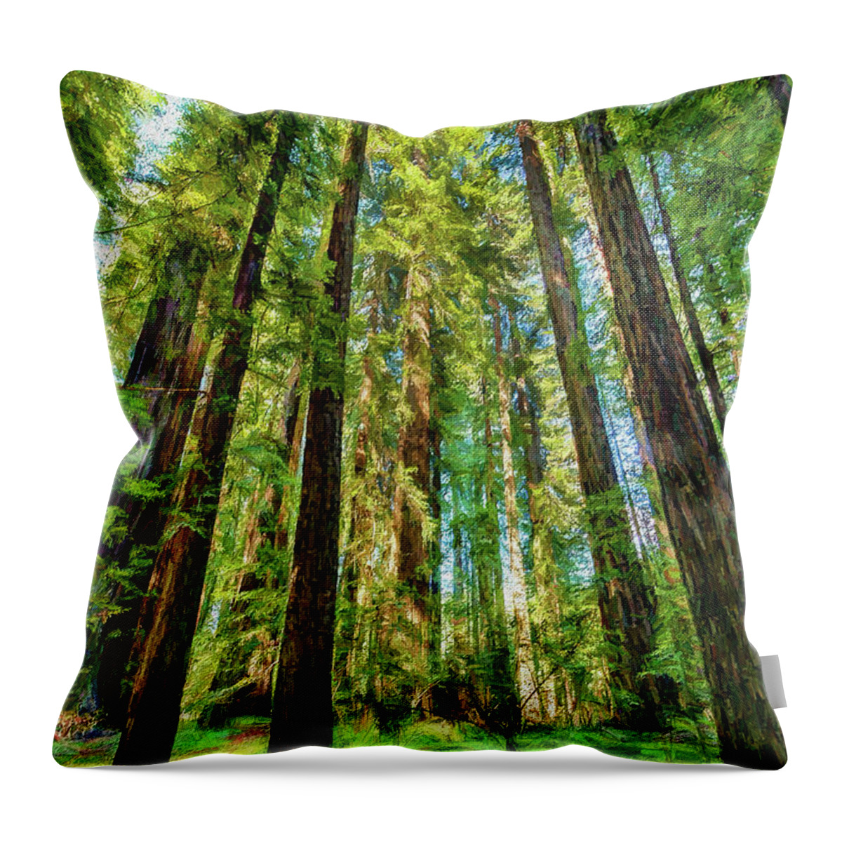 California Throw Pillow featuring the photograph Up Into the California Redwoods ap 120 by Dan Carmichael