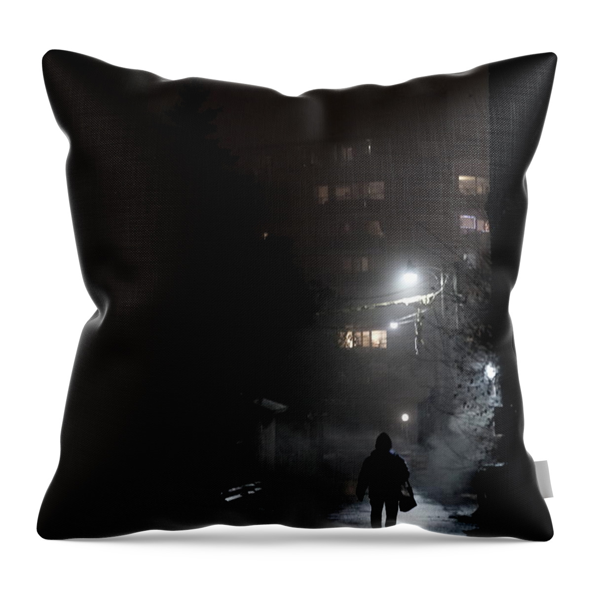 Urban Throw Pillow featuring the photograph Up The Alley by Kreddible Trout