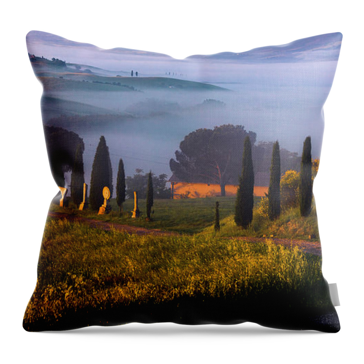 Italy Throw Pillow featuring the photograph Val d'Orcia by Evgeni Dinev