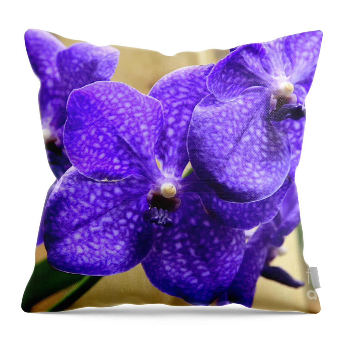 China Throw Pillow featuring the photograph Vanda Orchid II by Tanya Owens