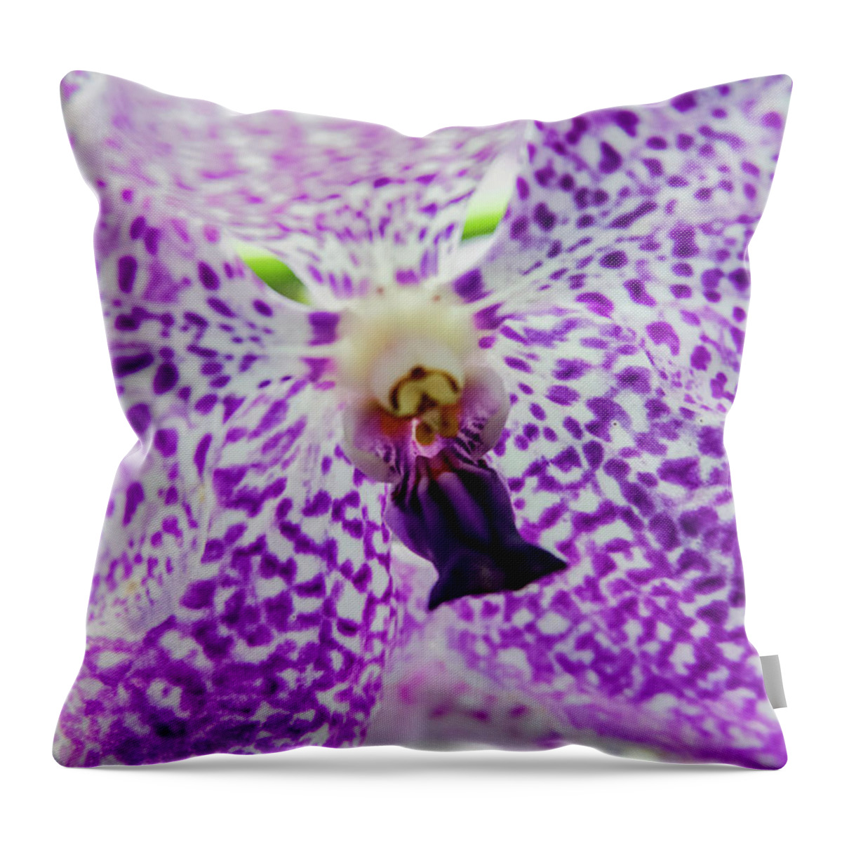 Singapore Throw Pillow featuring the photograph Vanda Orchid by Tanya Owens