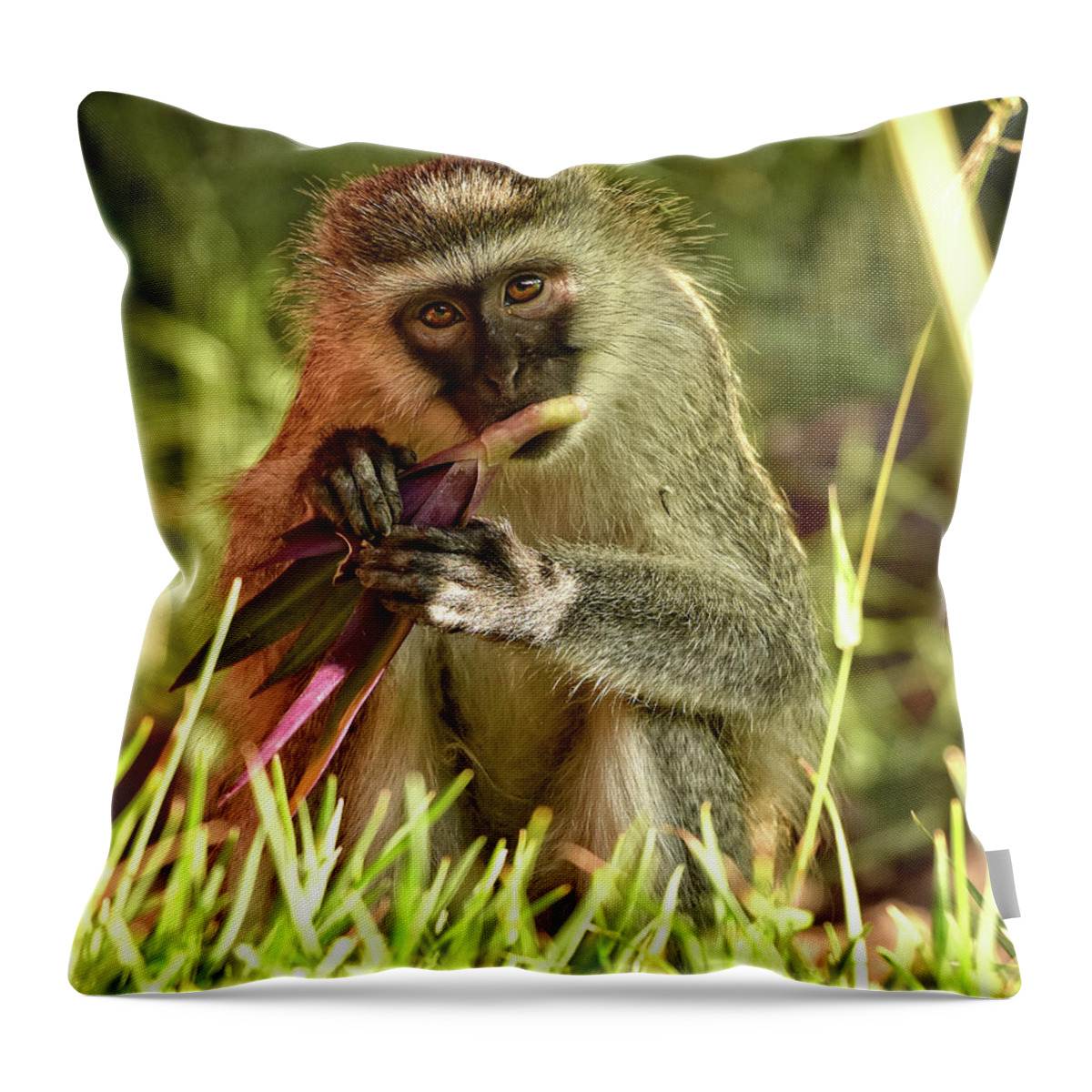 Africa Throw Pillow featuring the photograph Vervet Monkey in Kenya by Mitchell R Grosky
