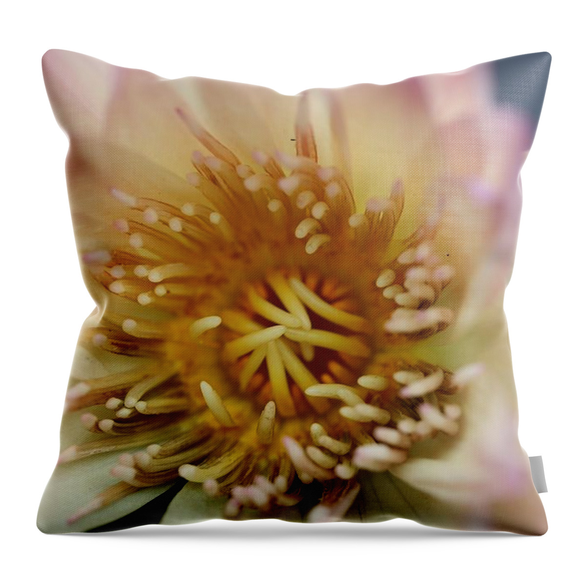 Water Lily Throw Pillow featuring the photograph Intricate and Vibrant by Mingming Jiang