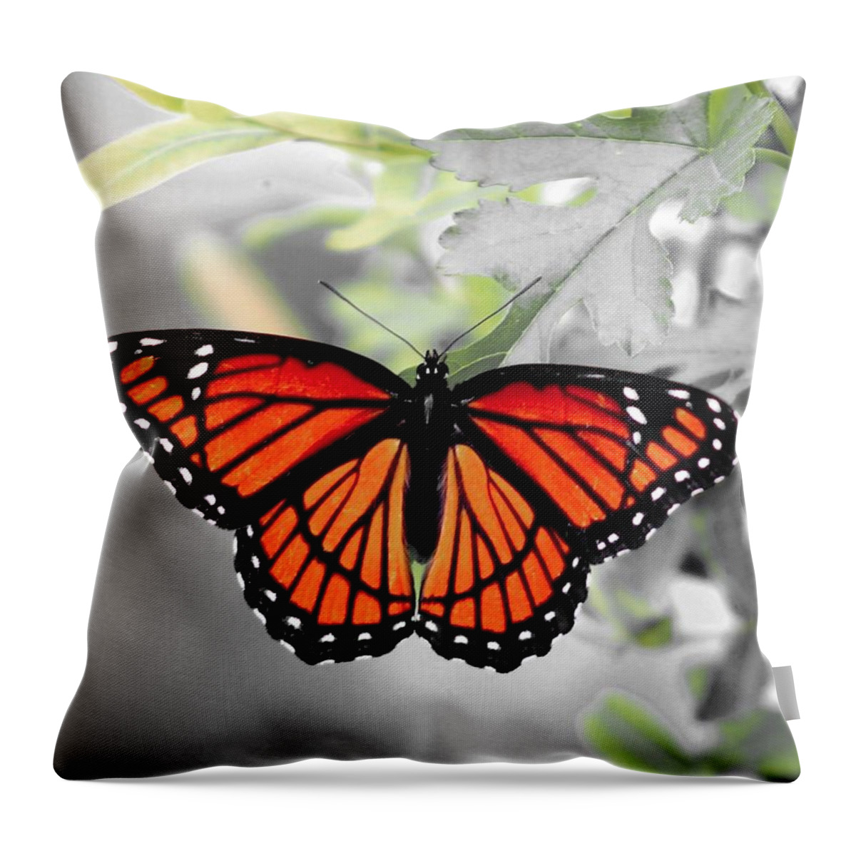 Viceroy Throw Pillow featuring the photograph Viceroy Butterfly by Christopher Reed