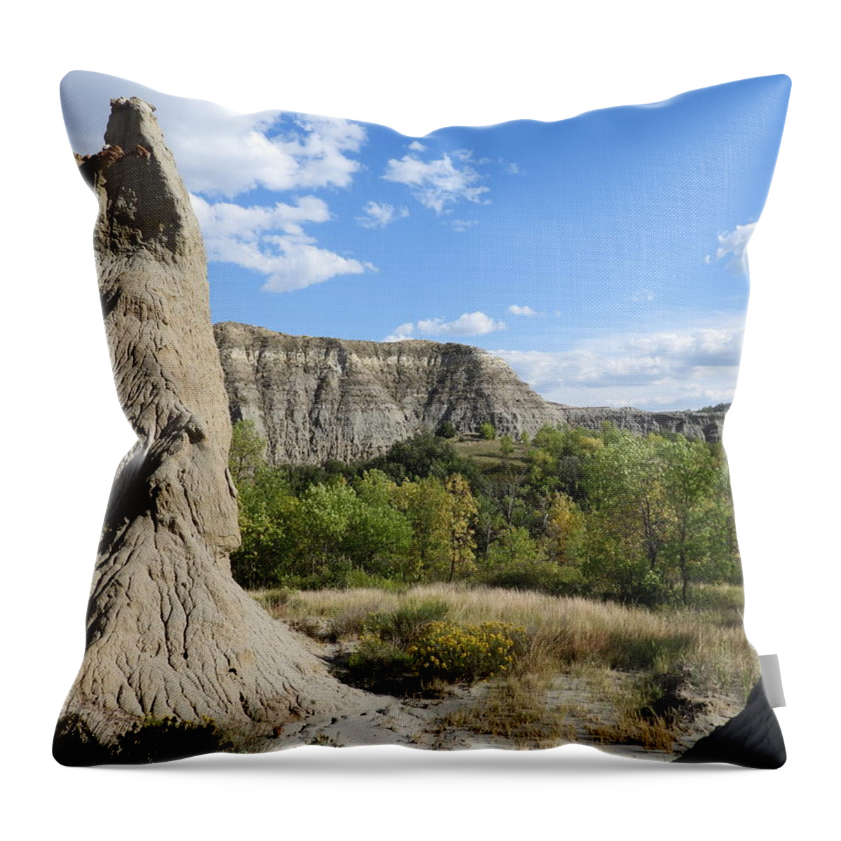 Buttes Throw Pillow featuring the photograph View Past The Buttes by Amanda R Wright