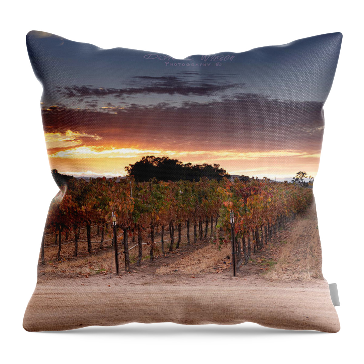 Landscape Throw Pillow featuring the photograph Vineyard Sunset by Devin Wilson