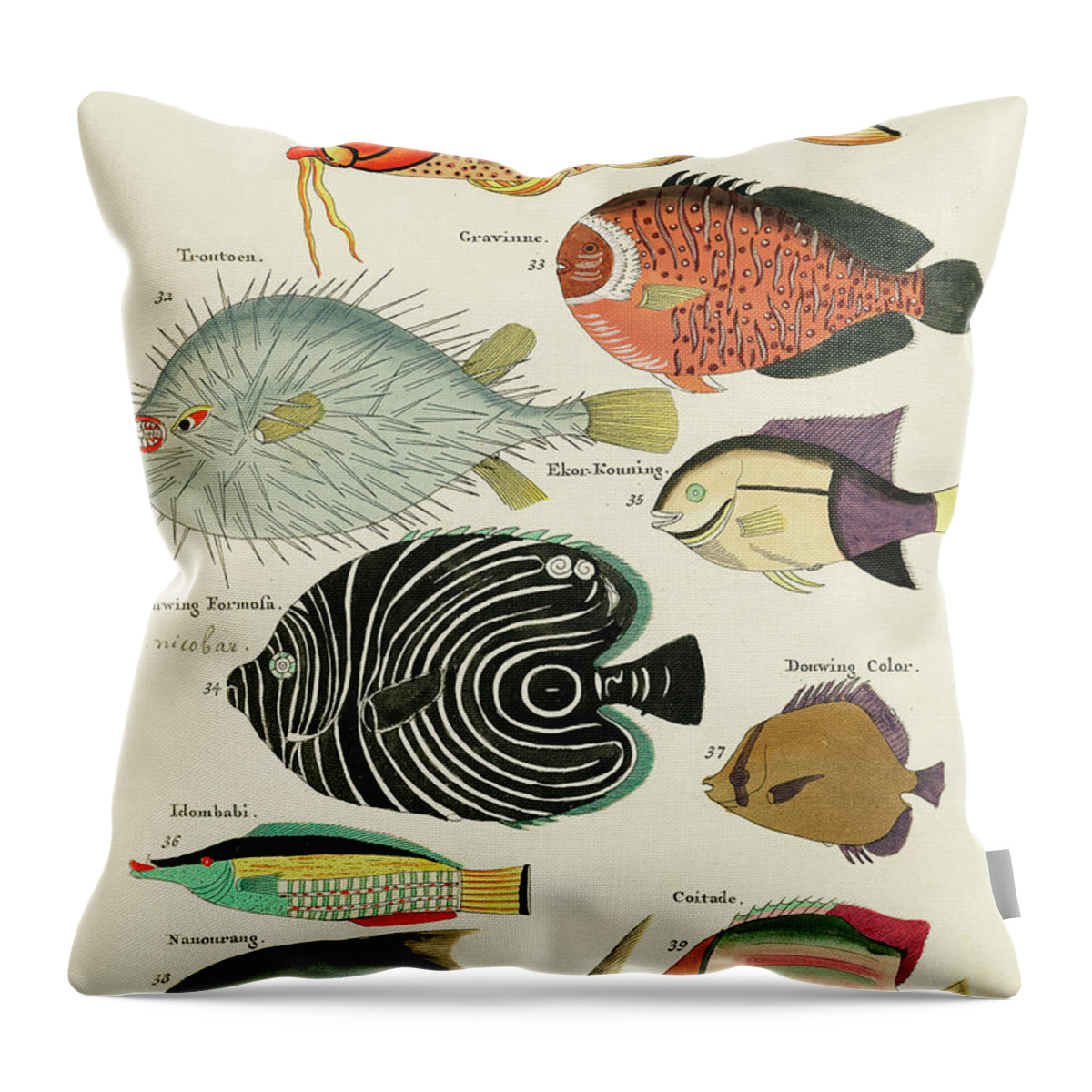 Fish Throw Pillow featuring the digital art Vintage, Whimsical Fish and Marine Life Illustration by Louis Renard - Baard Mannetje, Formosa by Louis Renard