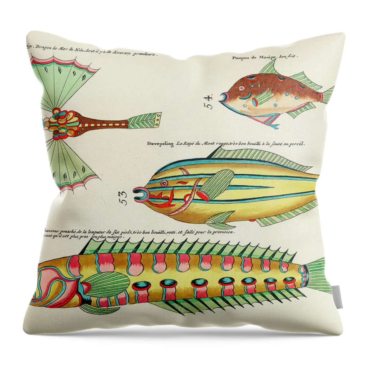 Fish Throw Pillow featuring the digital art Vintage, Whimsical Fish and Marine Life Illustration by Louis Renard - Sea Dragon, De Bonte Jager by Studio Grafiikka