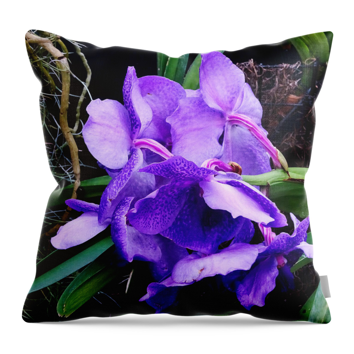 Flower Throw Pillow featuring the photograph Violet Elephant Hiding by Russ Considine