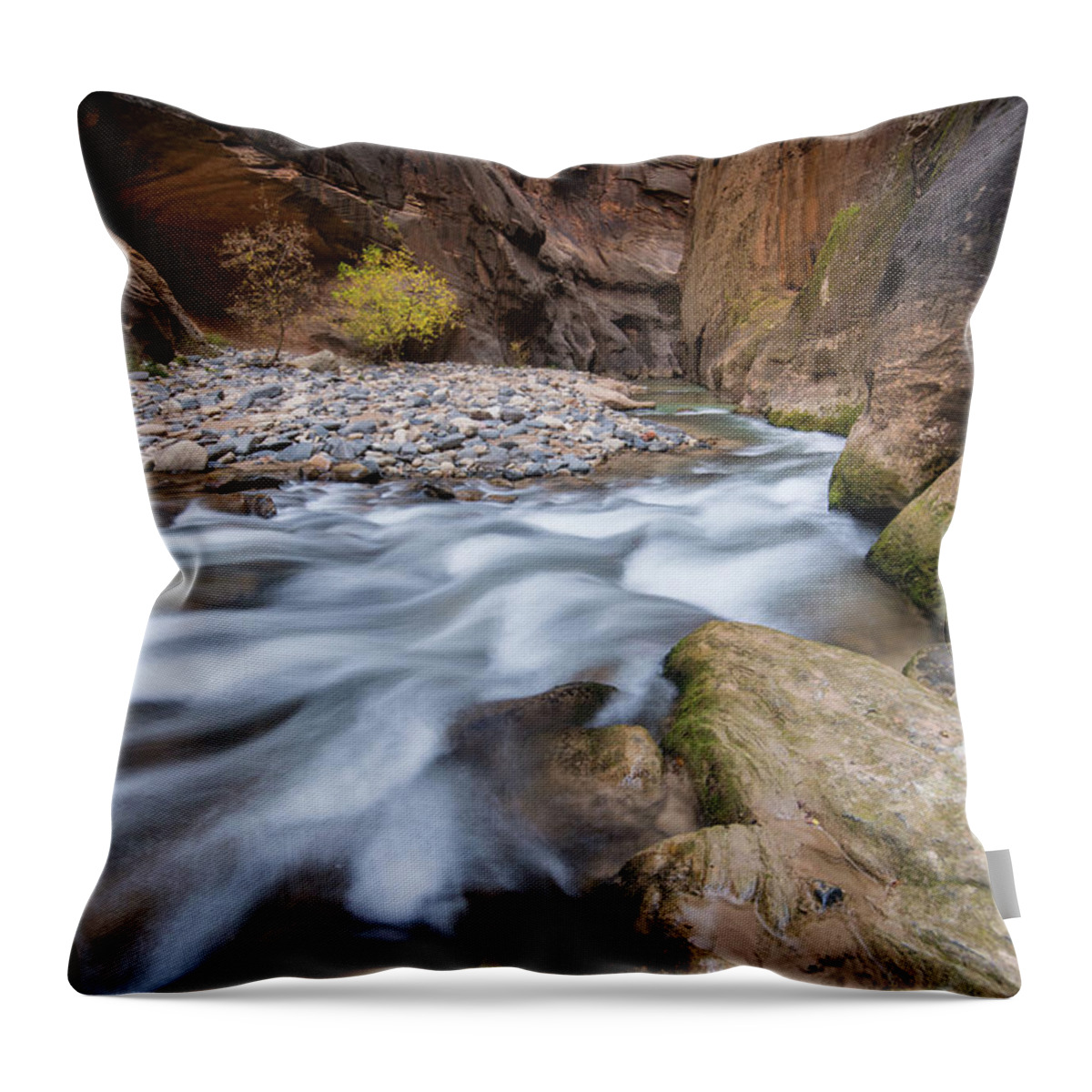 Zion Throw Pillow featuring the photograph Virgin River Narrows by Wesley Aston