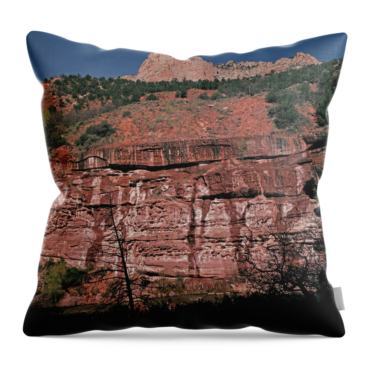 Square Throw Pillow featuring the photograph Virgin White Wall by Tom Daniel