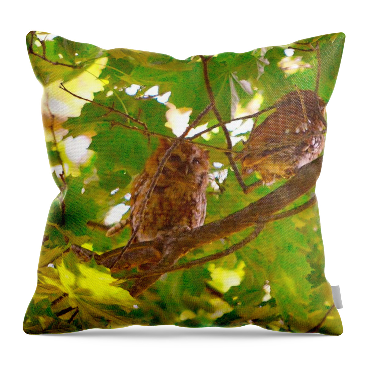 Eastern Screech Owls Throw Pillow featuring the photograph Visitors in my Backyard by Stacie Siemsen