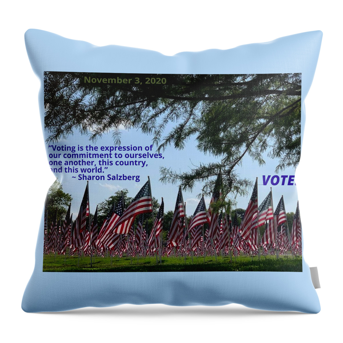 Tree Throw Pillow featuring the photograph Vote by Lee Darnell