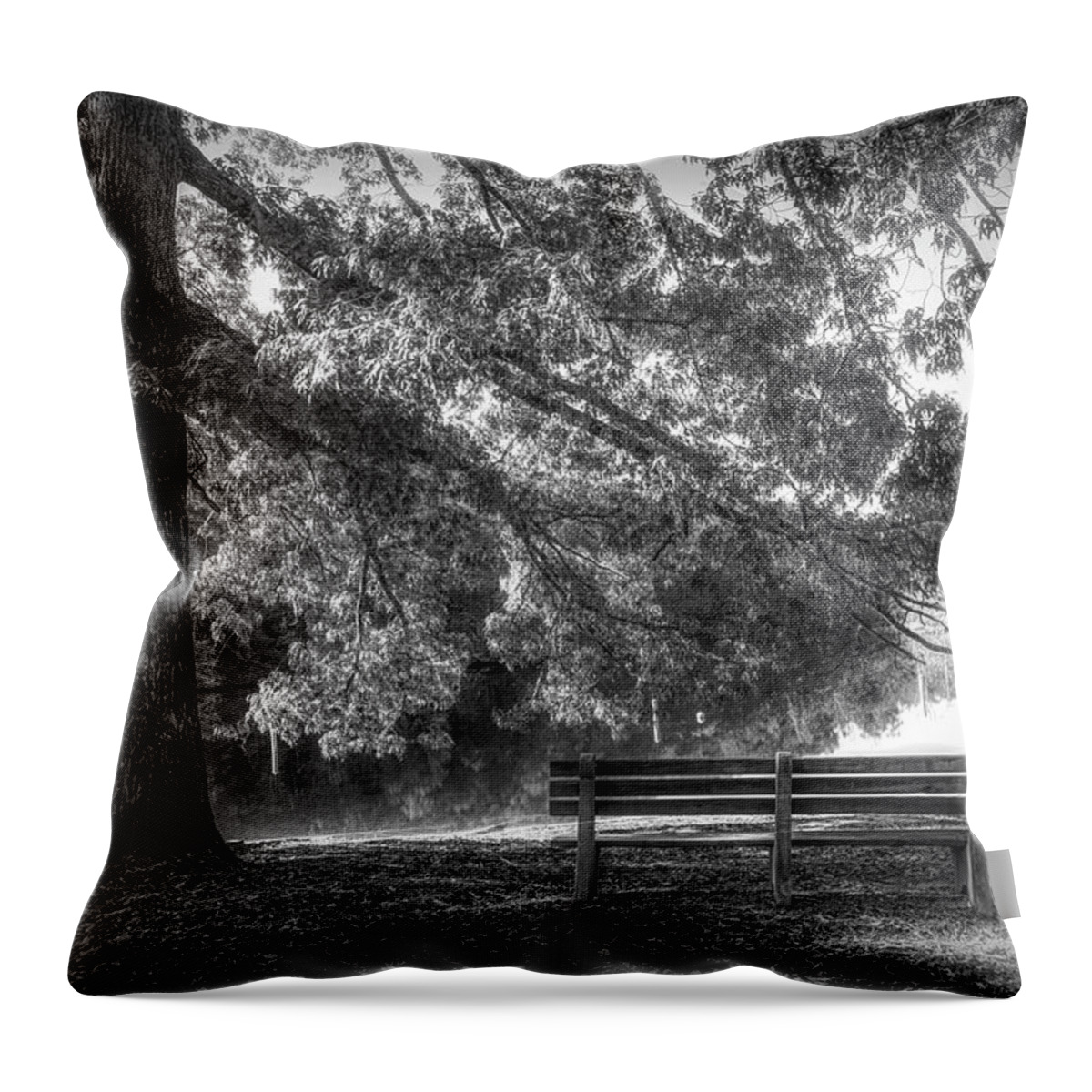 Benton Throw Pillow featuring the photograph Waiting in the Fall Black and White by Debra and Dave Vanderlaan