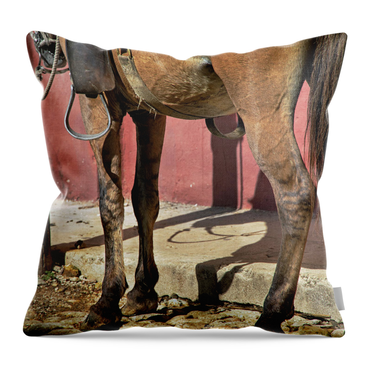 Horse Throw Pillow featuring the photograph Waiting by M Kathleen Warren