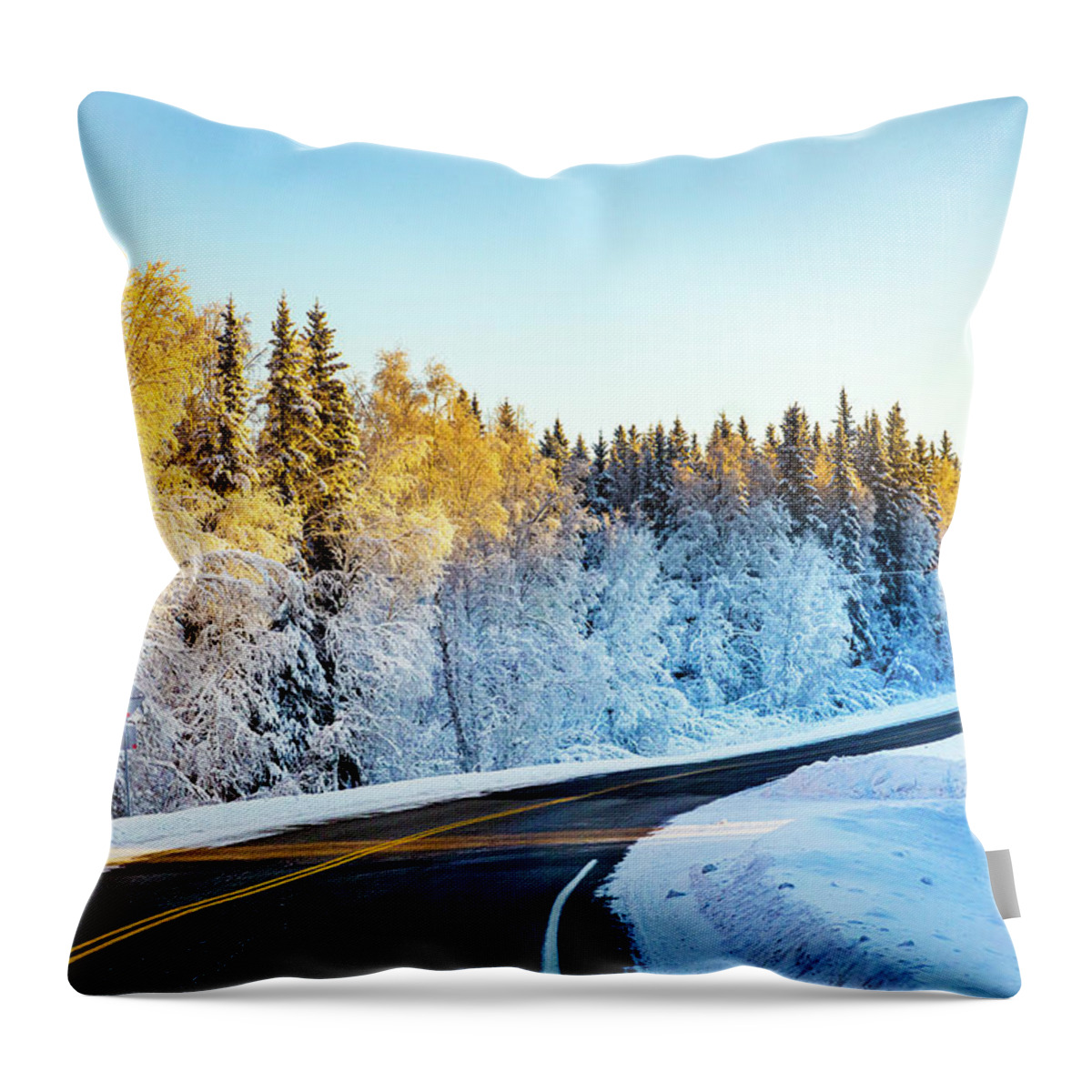 Landscape Throw Pillow featuring the photograph Warm tips in Fairbanks by Kyle Lavey