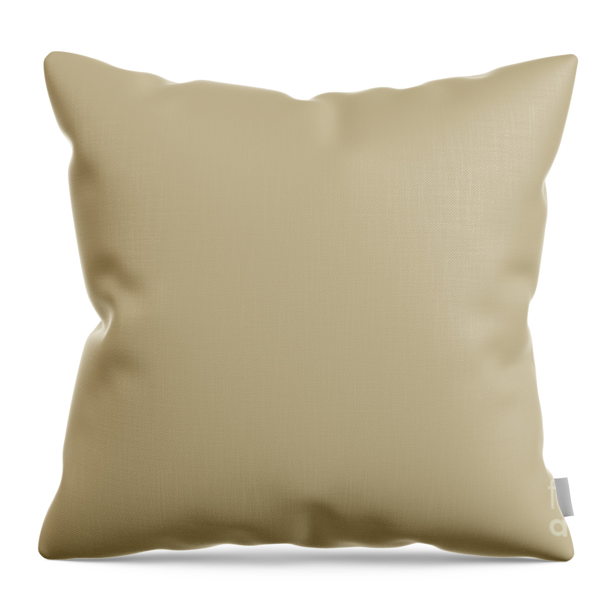 https://render.fineartamerica.com/images/rendered/default/throw-pillow/images/artworkimages/medium/3/warm-yellow-beige-solid-color-pairs-dulux-2023-colour-of-the-year-wild-wonder-pipa-fine-art-simply-solid.jpg?&targetx=-119&targety=0&imagewidth=718&imageheight=479&modelwidth=479&modelheight=479&backgroundcolor=C3B590&orientation=0&producttype=throwpillow-14-14