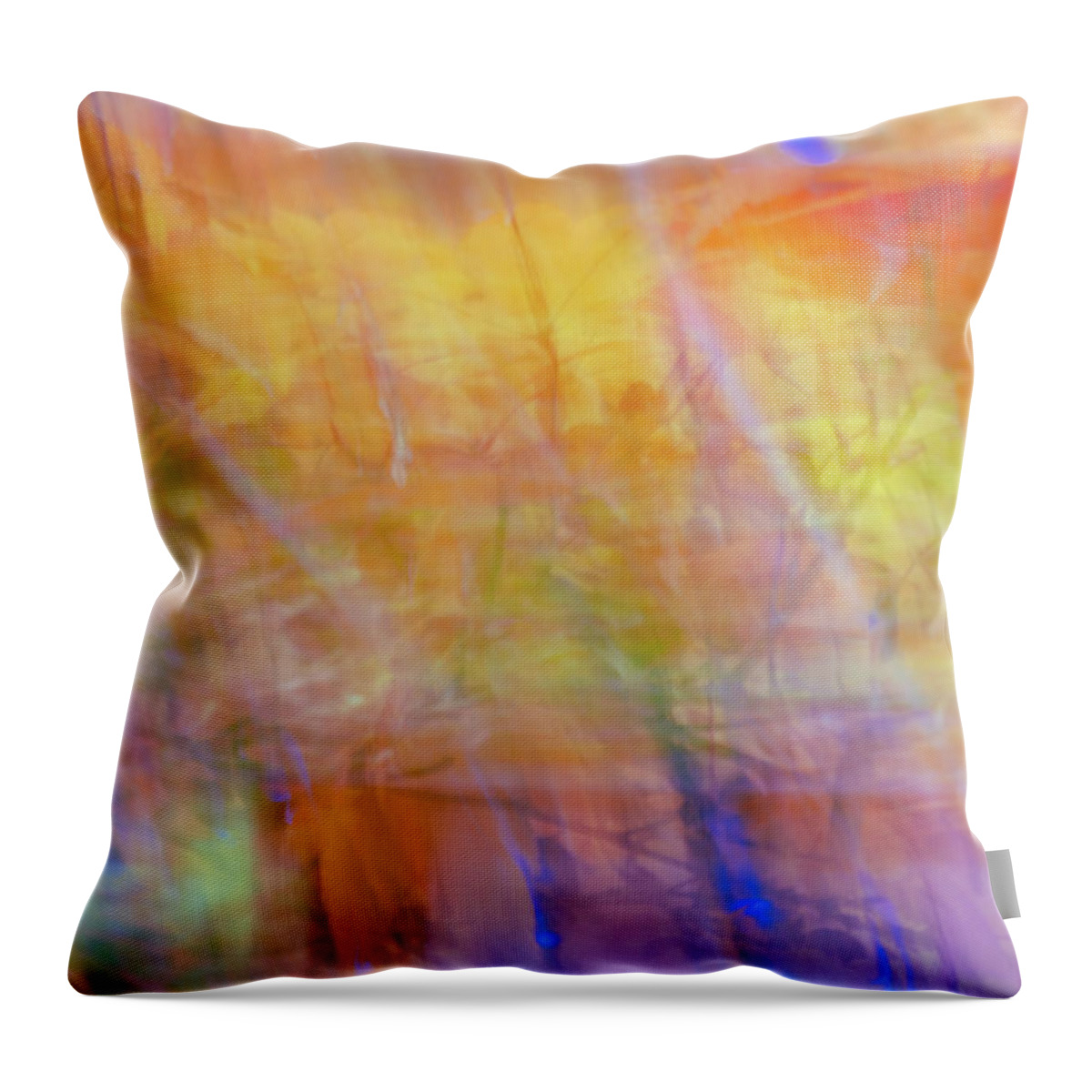 Autumn Throw Pillow featuring the photograph Warming Up - Autumn Abstract by Ada Weyland