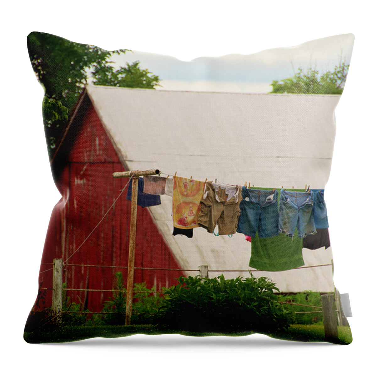 Kentucky Throw Pillow featuring the photograph Wash Day by Melissa Southern