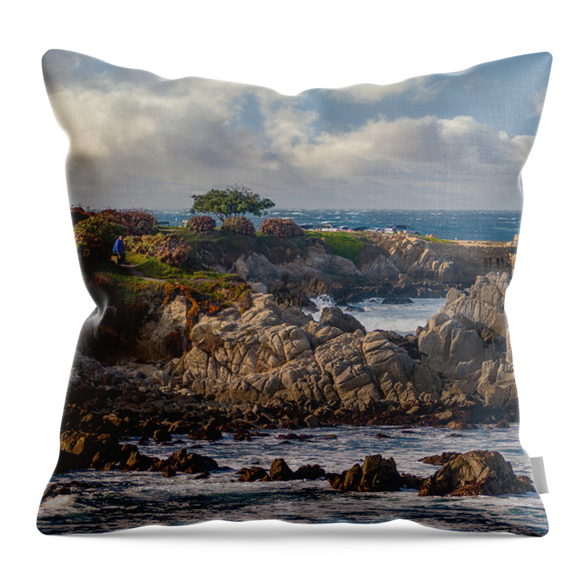 Pacific Grove Throw Pillow featuring the photograph Watching Winter Waves by Derek Dean