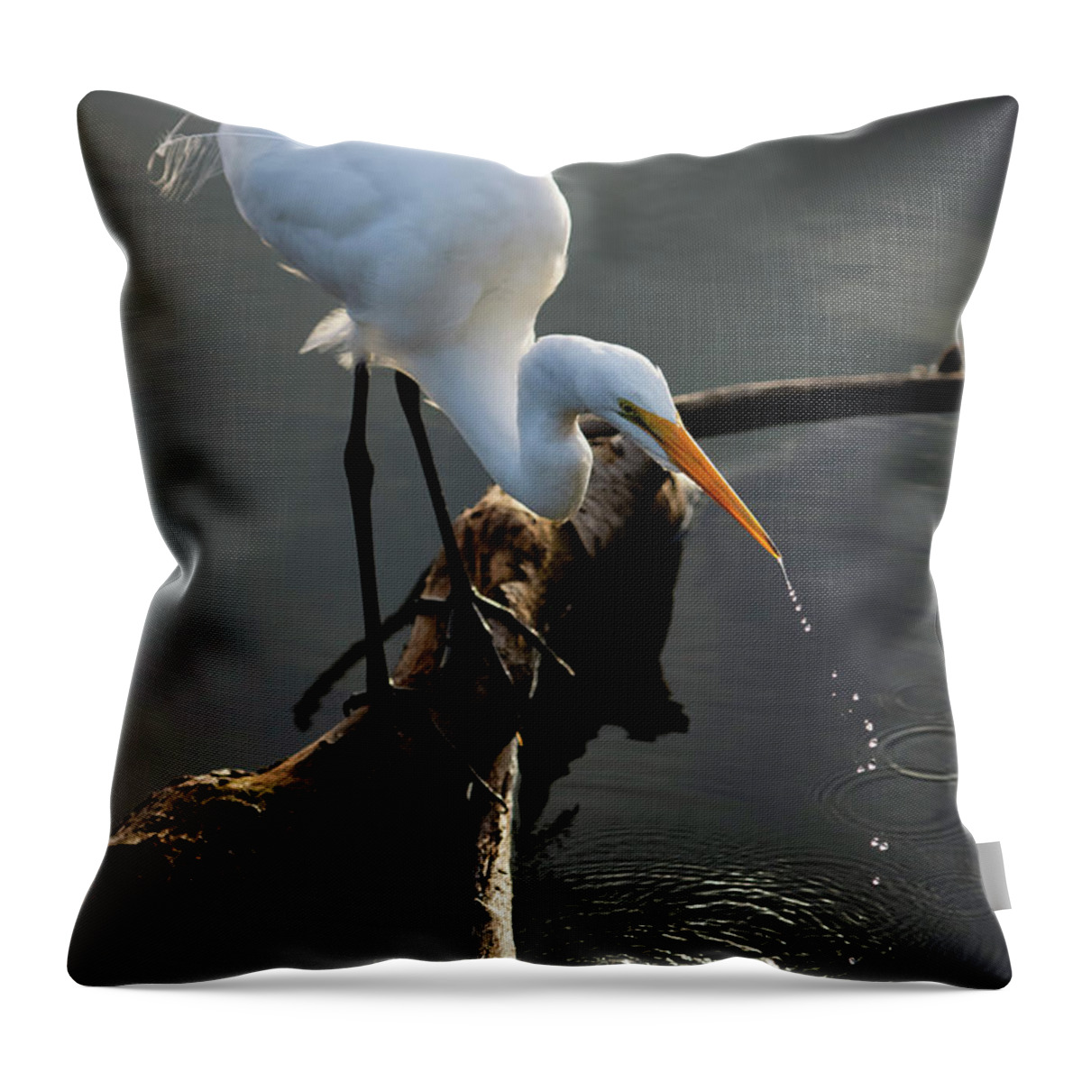  Throw Pillow featuring the photograph Water is Life by Quinn Sedam