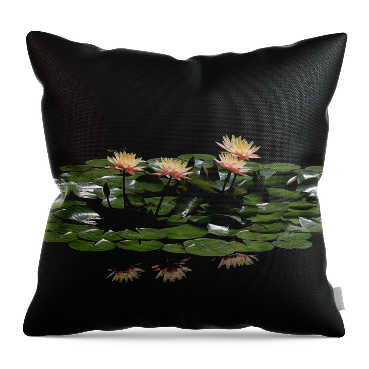 Water Lily Throw Pillow featuring the photograph Water Lilies 8 by Richard Krebs