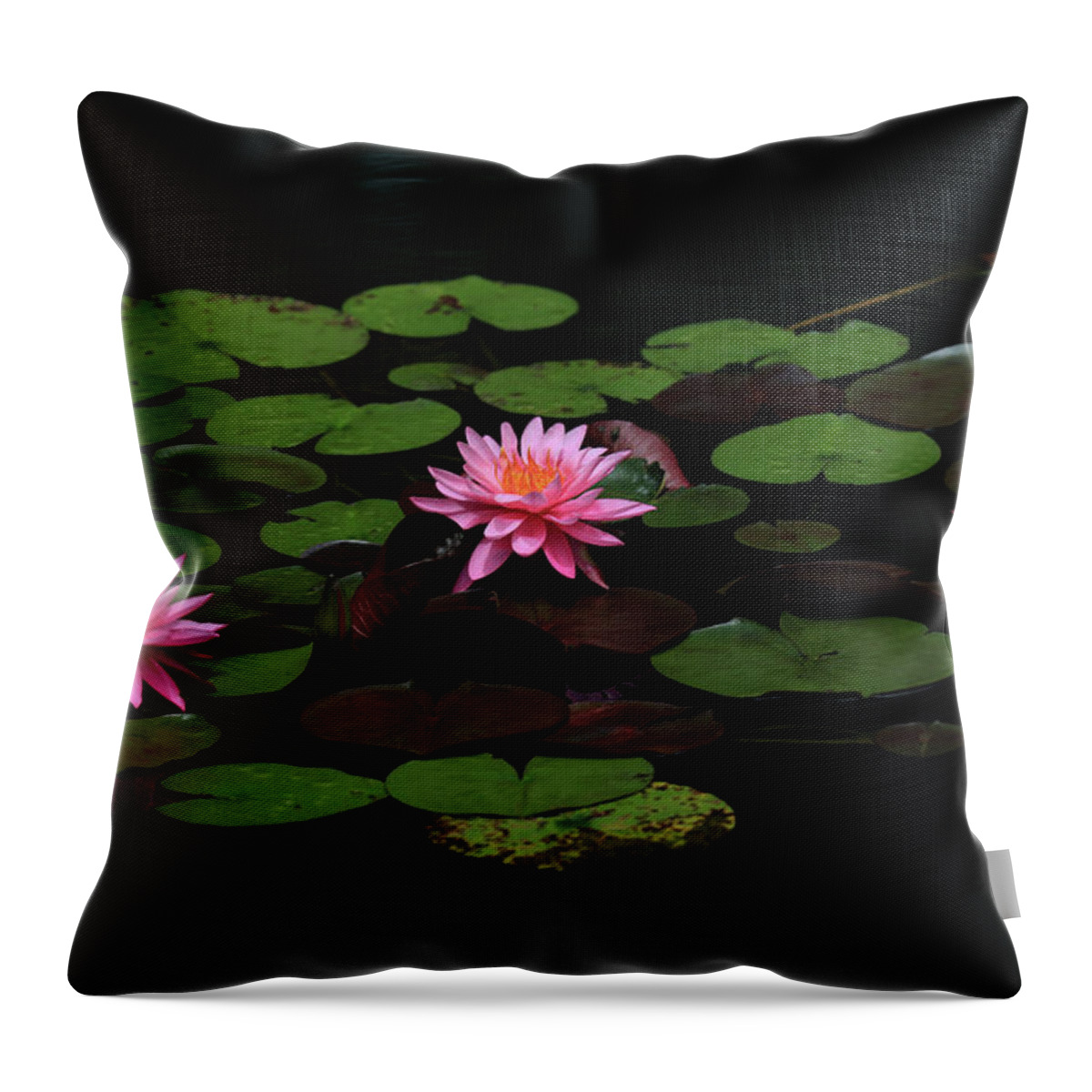 Water Lily Throw Pillow featuring the photograph Water Lilies 9 by Richard Krebs
