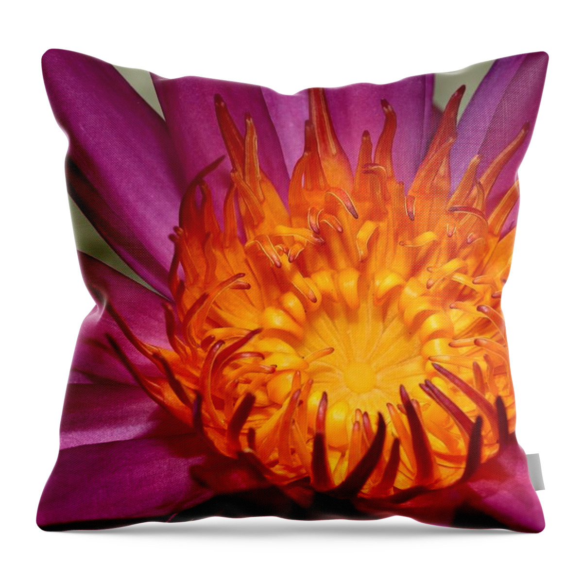 Water Lily Throw Pillow featuring the photograph Water Lily on Fire by Mingming Jiang