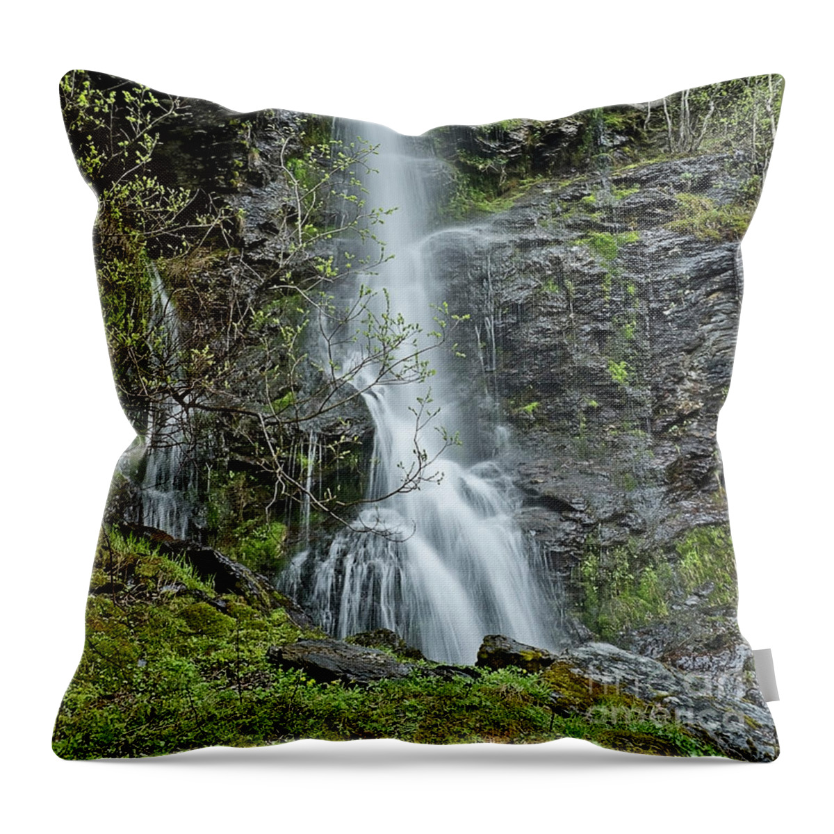 Waterfall Shape Spring Cliffs Near Flam Norway May Vivid Green Foliage Trees Streams Cheer Cheerful Glory Impressionistic Beautiful Wonderful Beauty Exciting Landscape Mindfulness Relaxation Relaxing Contemporary Unwinding Restful Calm Happy Light-hearten Serene Tranquil Tranquillity Stylish Exceptional Singular Remarkable Special Eccentric Electrifying Striking Joy Joyful Stimulating Euphoric Sensational Thrilling Atmospheric Aesthetic Charming Attractive Radiant Glorious Sentimental Falling Throw Pillow featuring the photograph Waterfall spring FLAM, NORWAY, MAY by Tatiana Bogracheva