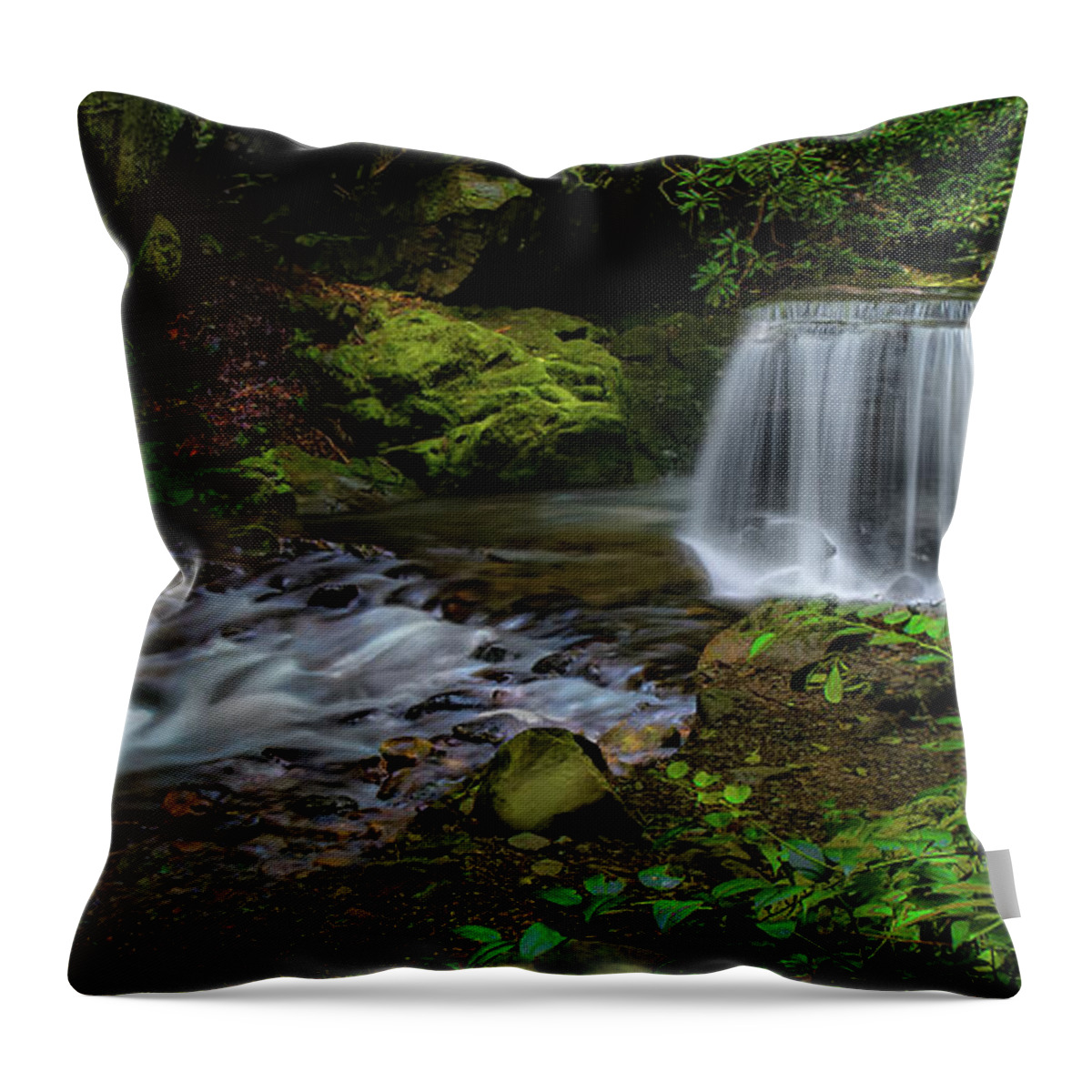 Panorama Throw Pillow featuring the photograph Waterfall in the Glen Panorama by Shelia Hunt