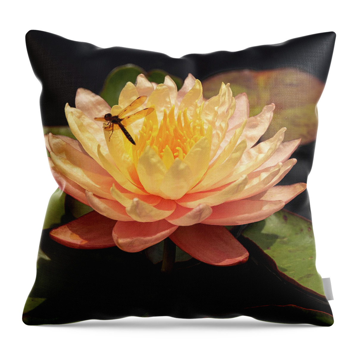 Flowers Throw Pillow featuring the photograph Waterlily by Minnie Gallman