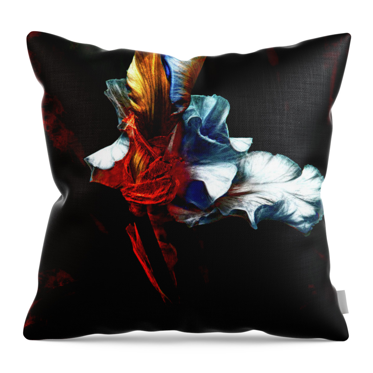 Waterloo Throw Pillow featuring the photograph Waterloo by Cynthia Dickinson