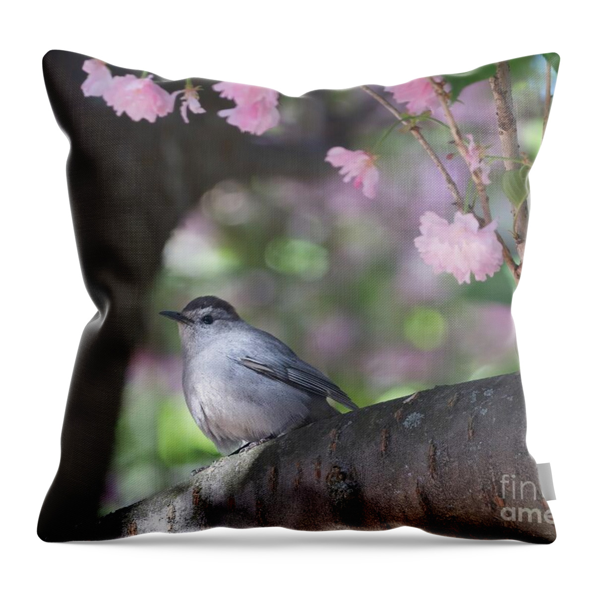 Bird Throw Pillow featuring the photograph Welcome Home Catbird by Chris Scroggins